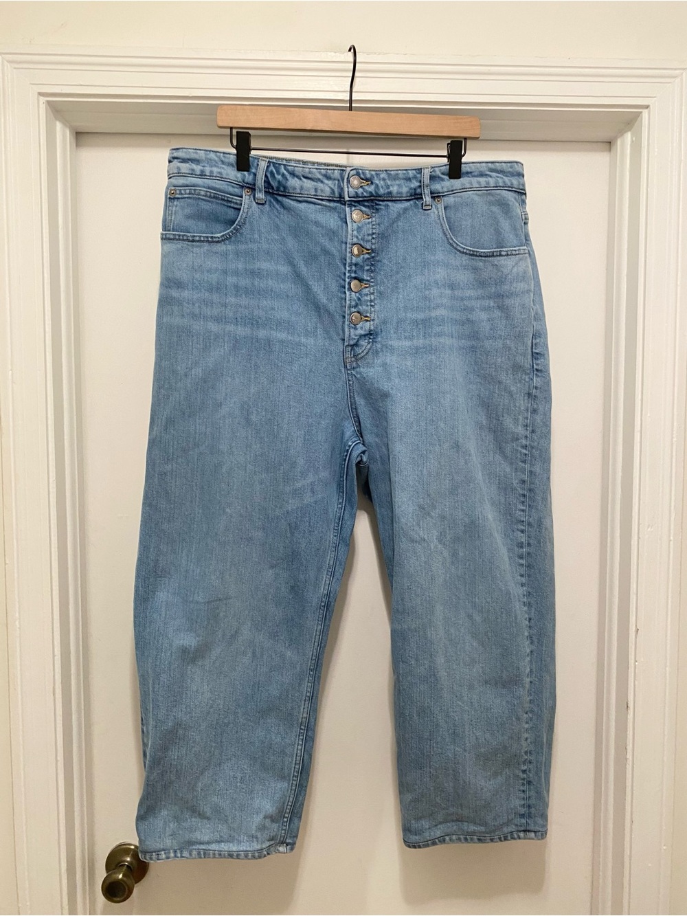 Everlane "The Way High Jean" Size 35 Regular cropped Medium Wash Organic Cotton